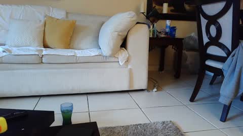 Snapshot of gothbaby305 chatting on 09/16/25, 05:58 gothbaby305 online show from 09/16/25, 05:58