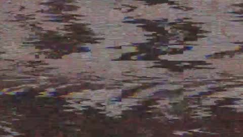        online show from 05/21/26, 04:41