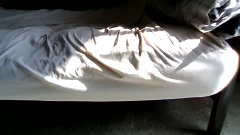 Snapshot of gowiththeflow37 chatting on 02/27/26, 06:08 watch me stroke online show from 02/27/26, 06:08