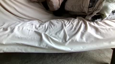 Snapshot of gowiththeflow37 chatting on 04/12/26, 12:43 watch me stroke online show from 04/12/26, 12:43