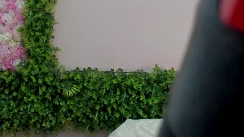 Mi Name is violeta  online show from 03/01/25, 04:15