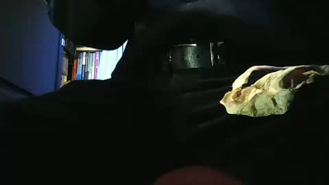 grapefruit online show from 03/11/26, 09:48