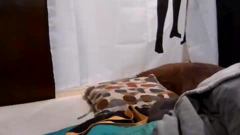 Snapshot of gratiotony chatting on 12/18/25, 03:23 Get US to 1000 you wont be disapointed online show from 12/18/25, 03:23