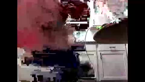 Snapshot of gravybaby333 chatting on 04/03/26, 07:28 gravybaby333 online show from 04/03/26, 07:28