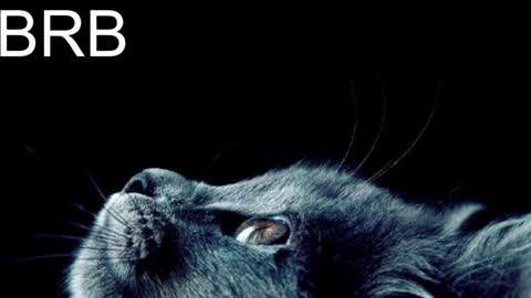 GrayceWild online show from 01/31/25, 11:24