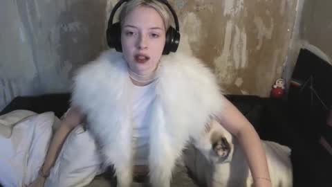 graylovescookies online show from 12/19/24, 10:45