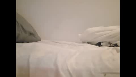 greekprince77 online show from 03/02/26, 12:56