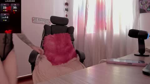 Medussa online show from 03/01/26, 08:00