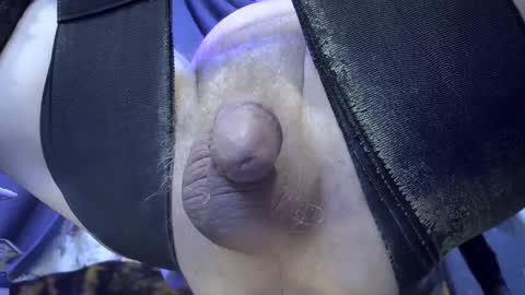 Snapshot of gregbball1 chatting on 02/25/25, 08:25 electrogee1 online show from 02/25/25, 08:25