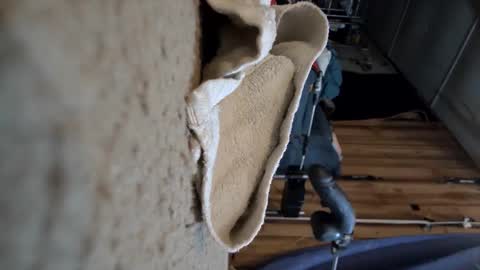 Snapshot of gregbball1 chatting on 03/15/26, 01:00 electrogee1 online show from 03/15/26, 01:00