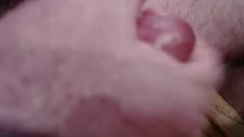 Snapshot of gregburns chatting on 01/18/25, 04:31 Greg online show from 01/18/25, 04:31