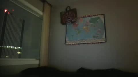 Snapshot of gregrev chatting on 01/01/25, 04:39 gregrev online show from 01/01/25, 04:39