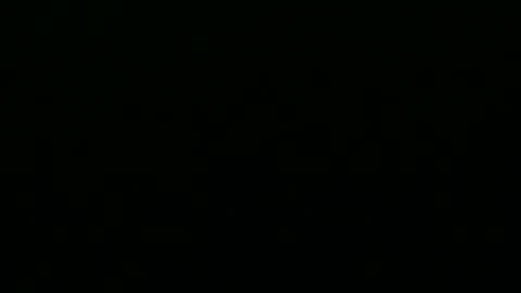 Snapshot of greyfox_6000 chatting on 02/25/25, 04:21 greyfox_6000 online show from 02/25/25, 04:21