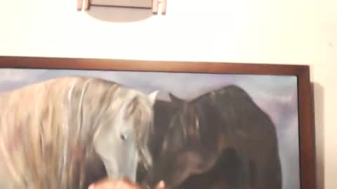 Snapshot of griseldax chatting on 12/07/24, 11:34 griseldax online show from 12/07/24, 11:34