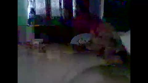 Snapshot of grittslappa chatting on 11/11/25, 12:21 grittslappa online show from 11/11/25, 12:21