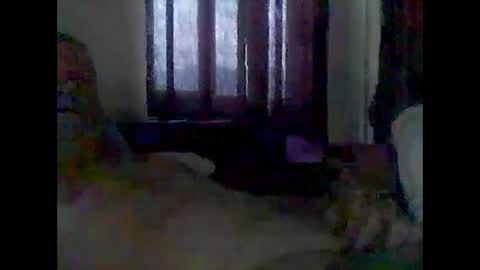 Snapshot of grittslappa chatting on 12/14/25, 03:12 grittslappa online show from 12/14/25, 03:12