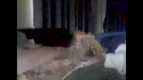 Snapshot of grittslappa chatting on 02/17/26, 01:24 grittslappa online show from 02/17/26, 01:24