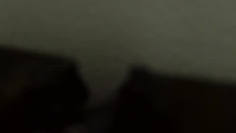 gronnn online show from 01/18/26, 04:05