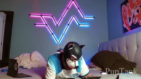 Alpha pup online show from 10/22/25, 07:57