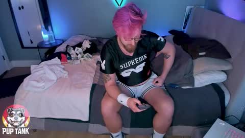 Alpha pup online show from 11/11/25, 10:21