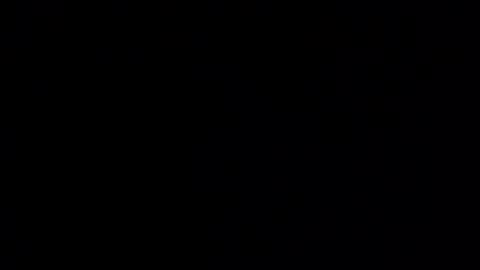 Snapshot of grpmunky69 chatting on 12/29/24, 08:11 grpmunky69 online show from 12/29/24, 08:11