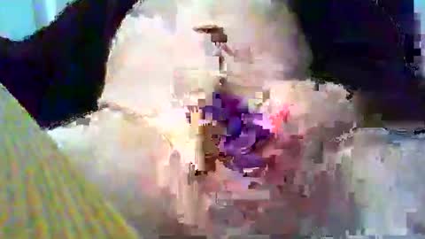 Gary online show from 01/26/25, 03:58