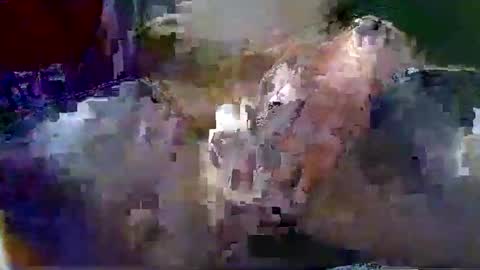 Gary online show from 01/18/26, 01:42