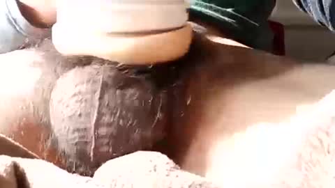 Snapshot of guapopapi88 chatting on 01/12/25, 08:57 guapopapi88 online show from 01/12/25, 08:57