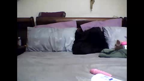 Snapshot of gucci_bx chatting on 03/08/25, 02:23 gucci-bx online show from 03/08/25, 02:23