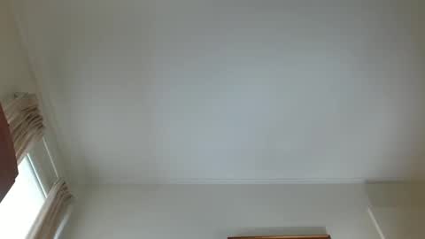 Snapshot of guest_3591 chatting on 01/29/25, 08:56 guest_3591 online show from 01/29/25, 08:56