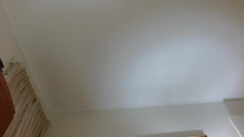 Snapshot of guest_3591 chatting on 02/25/25, 12:45 guest_3591 online show from 02/25/25, 12:45