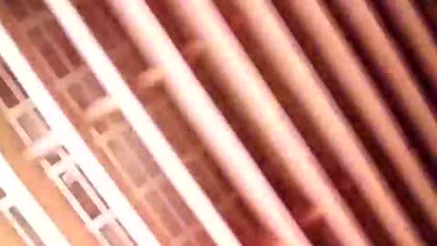 Snapshot of guidohnm chatting on 01/09/25, 06:59 Gu online show from 01/09/25, 06:59