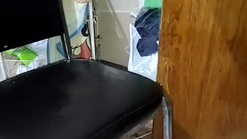 Snapshot of guillermo723 chatting on 04/09/26, 02:33 guillermo723 online show from 04/09/26, 02:33