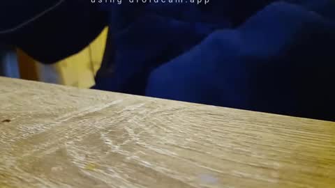 Franky online show from 09/18/25, 10:56