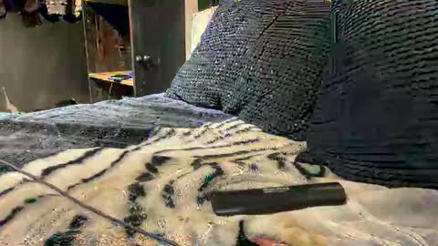 gumbywanna online show from 03/15/26, 02:39