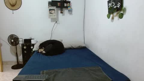 Snapshot of guts_x chatting on 12/06/24, 05:33 Guts online show from 12/06/24, 05:33