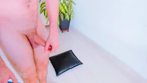 Snapshot of h0ney__p0t chatting on 03/12/26, 08:37 Margareth Stallion online show from 03/12/26, 08:37