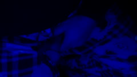 H2omygod online show from 12/14/24, 07:51