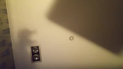 h_rd333 online show from 09/30/25, 10:15