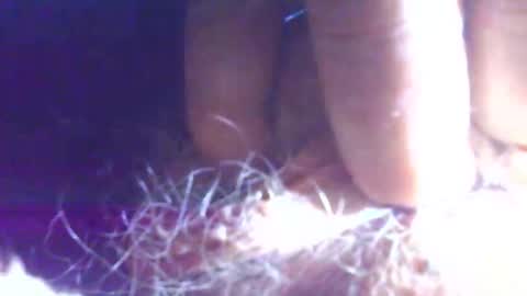 hagridthehorrible online show from 11/01/25, 11:23