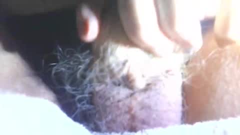 hagridthehorrible online show from 01/11/26, 06:57