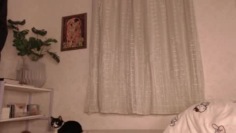 Snapshot of haidyhaven chatting on 06/11/26, 02:53 haidyhaven online show from 06/11/26, 02:53