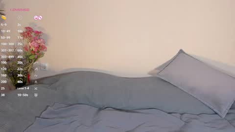 Snapshot of haileybaileybb chatting on 02/23/25, 04:46 Hailey online show from 02/23/25, 04:46