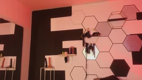 Snapshot of haileycat_ chatting on 01/25/25, 12:27 haileycat_ online show from 01/25/25, 12:27