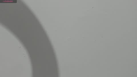 Hailey online show from 03/13/26, 11:00