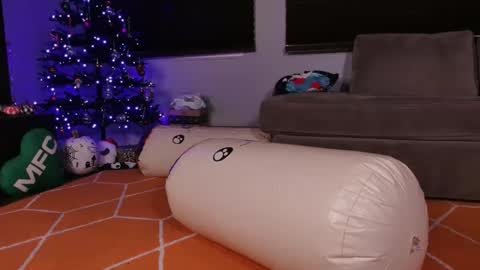 Snapshot of hailwilds chatting on 12/20/24, 10:27 HailWilds online show from 12/20/24, 10:27