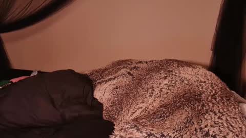 Snapshot of hailwilds chatting on 03/01/25, 02:59 HailWilds online show from 03/01/25, 02:59