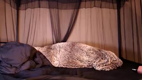 Snapshot of hailwilds chatting on 09/12/25, 06:35 HailWilds online show from 09/12/25, 06:35