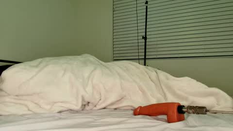 Snapshot of hailwilds chatting on 02/18/26, 11:33 HailWilds online show from 02/18/26, 11:33