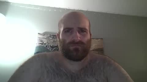 Hairiest Bear online show from 12/28/24, 07:43